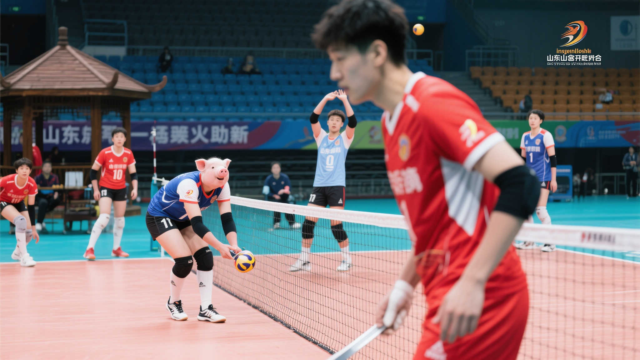 Kaiyun 开云-平台介绍