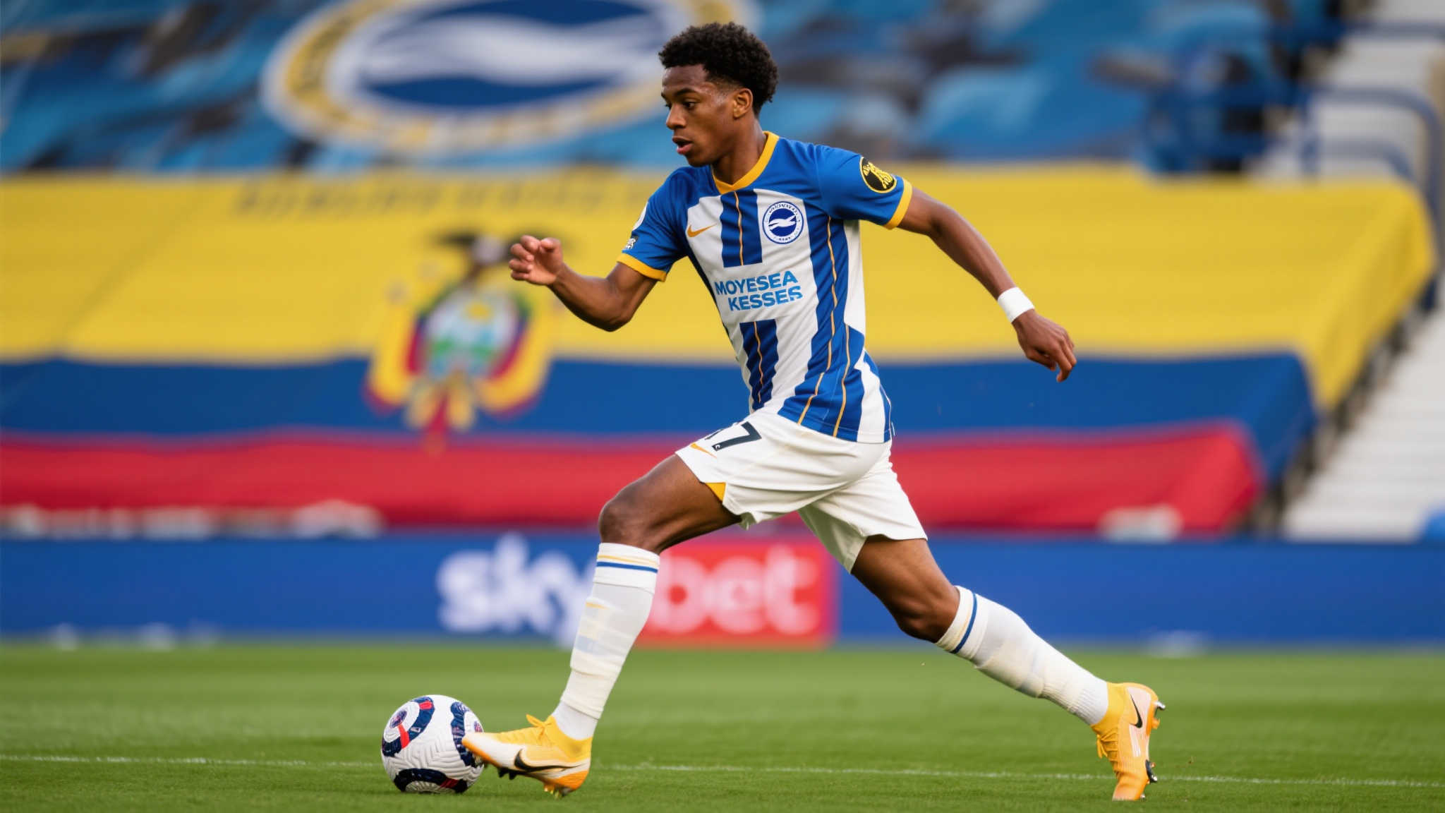 Kaiyun 开云-平台介绍